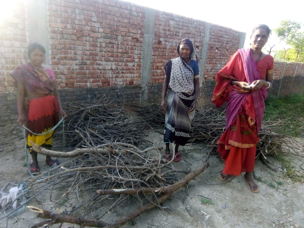 You are currently viewing Wood Donation in Bodhgaya, Bihar